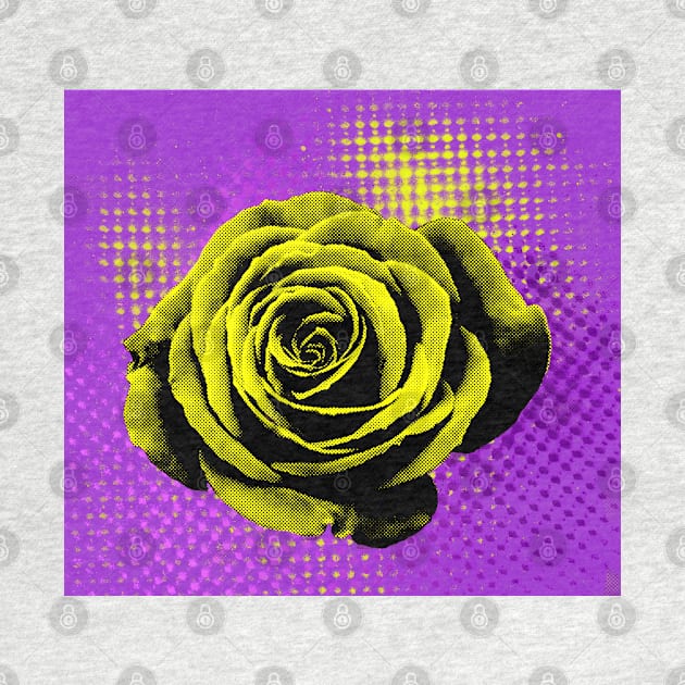 Rose, yellow, violet, red, pop art by NYWA-ART-PROJECT